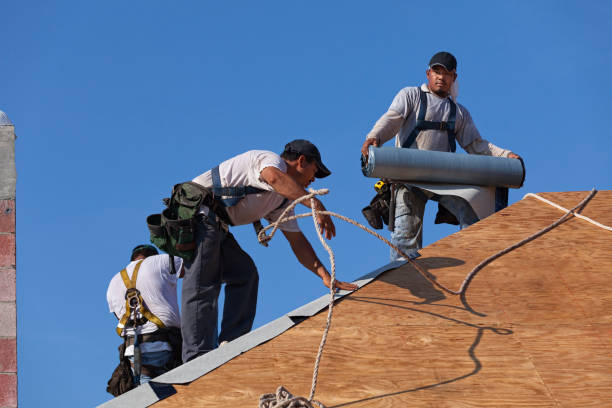 Best Roof Gutter Cleaning  in Ridgway, PA